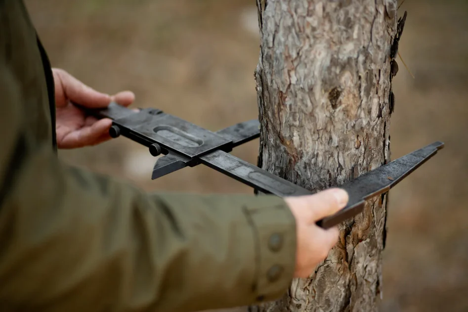 Arborist mäter och kontrollerar träd