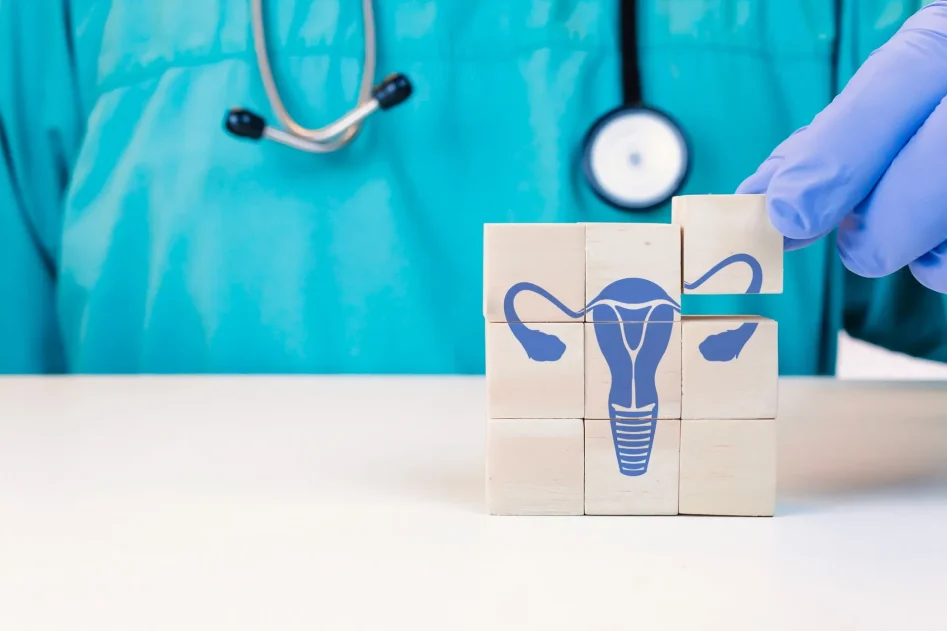 Uterus