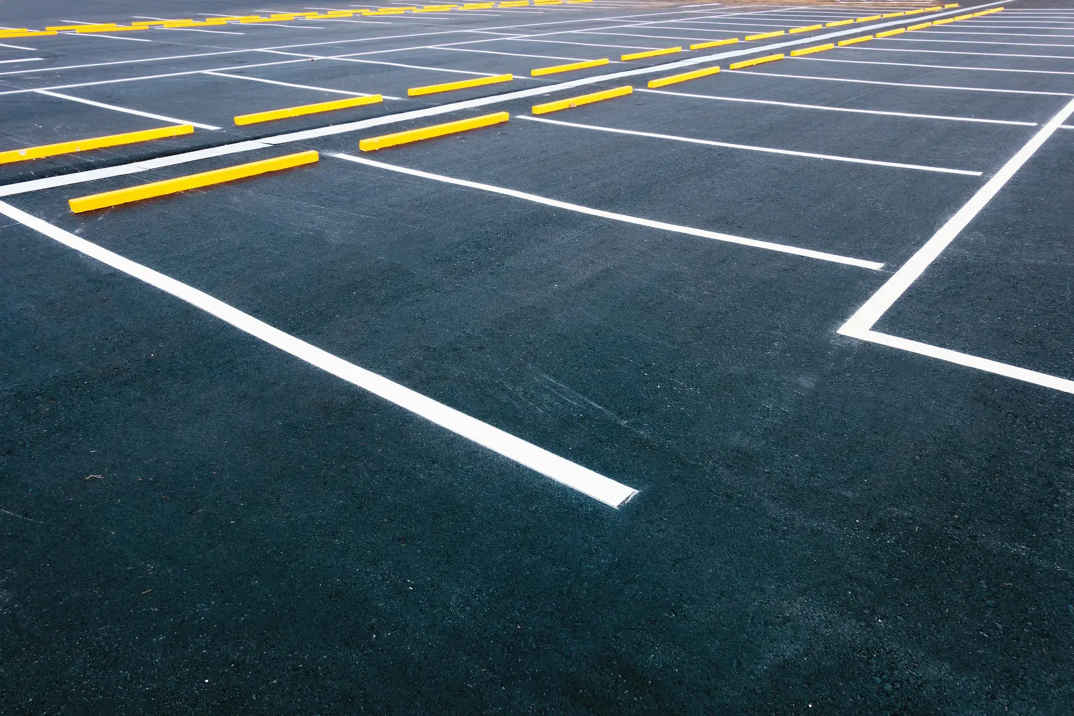 Asfalt med nymålade parkeringsrutor